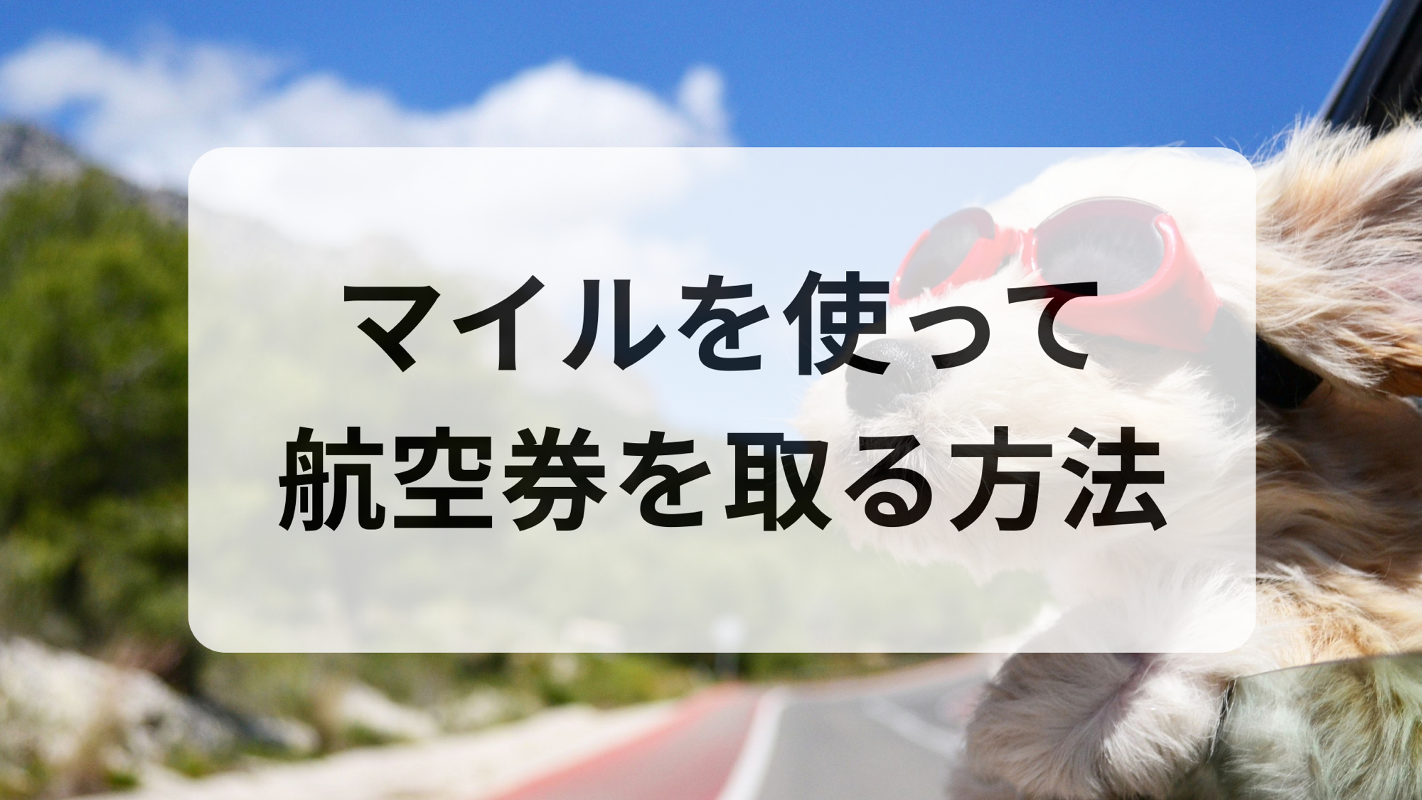 入国が厳しい国