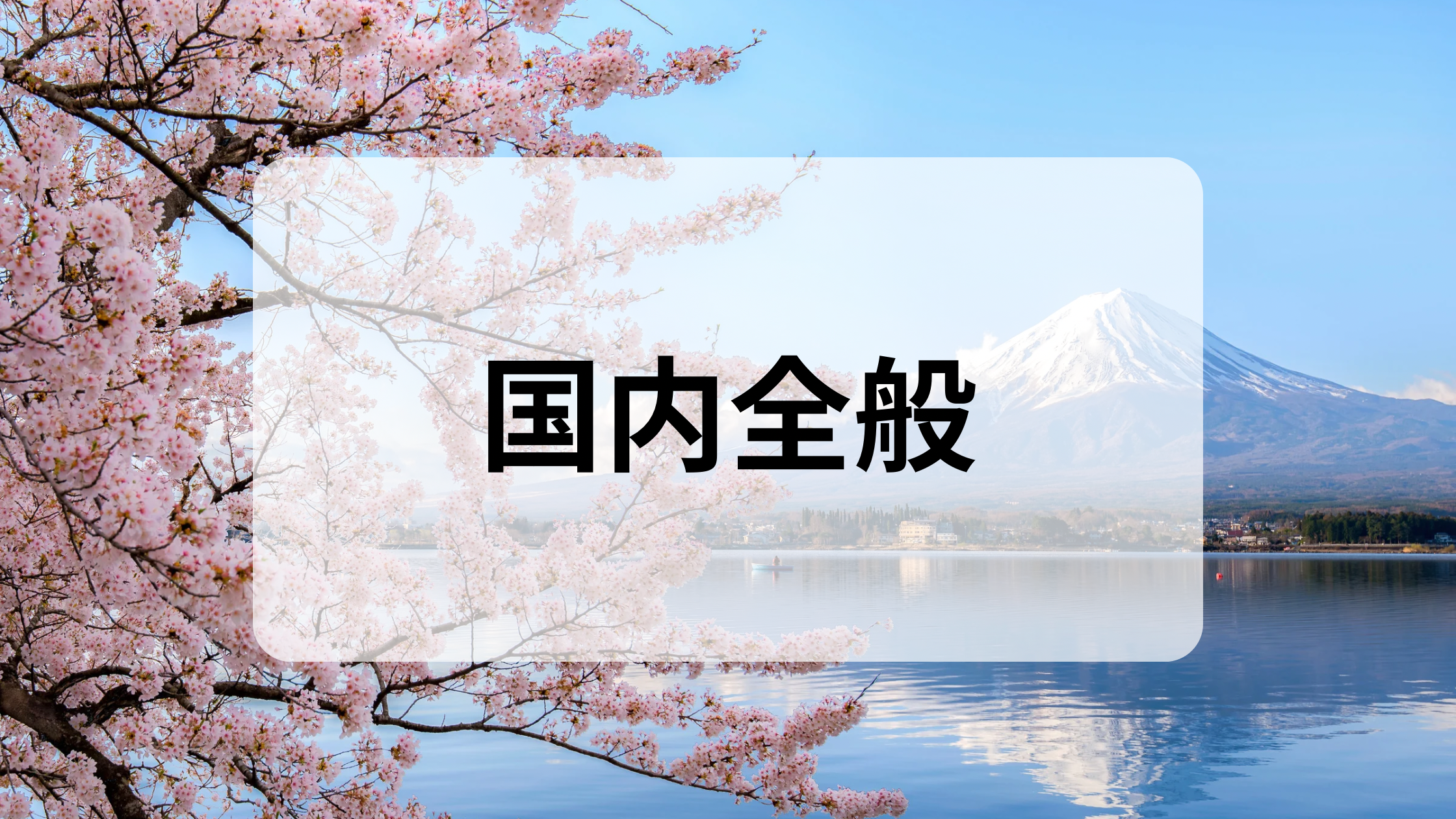 国内全般